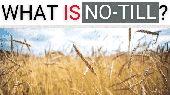 Ryan NT (RFM NT) What is no-till farming
